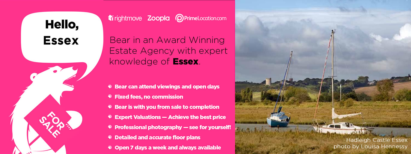 Estate agents in Essex