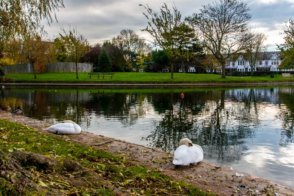 Picture of Southchurch Park the Heart of Southchurch