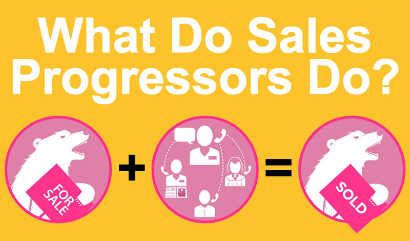 What do sales progressors do infographic